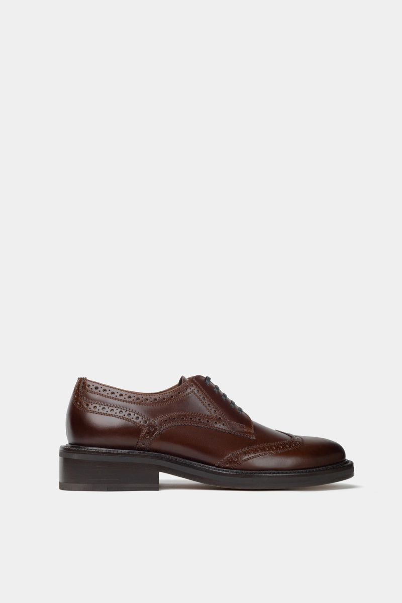 zapatos de piel estilo flexi y John Lobb
color café de cuero